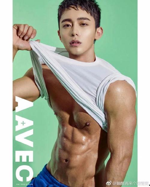 男模 在线观看,在线观看，感受时尚魅力